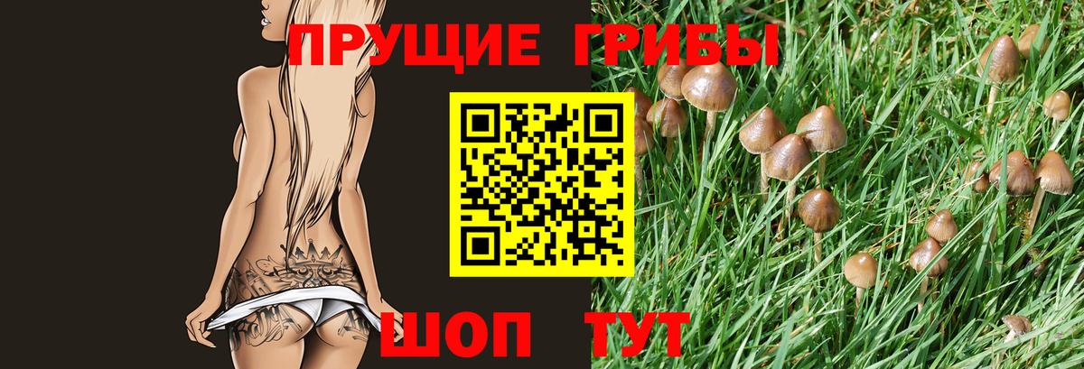 Псилоцибиновые грибы Magic Shrooms Борисоглебск