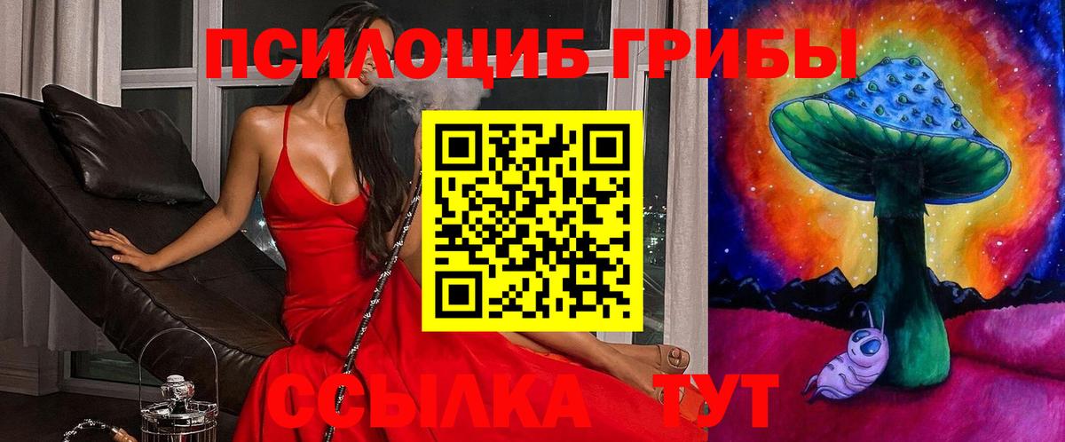 закладки  Вход с VPN  Борисоглебск  Псилоцибиновые грибы GOLDEN TEACHER 
